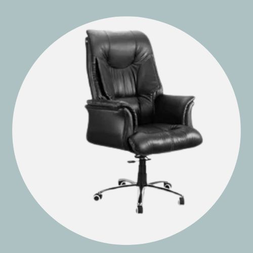 Director Chair(DC-109)